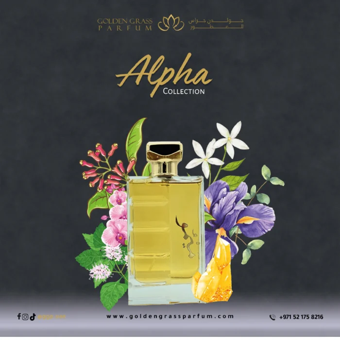 Embark on a vibrant olfactory journey with a fragrance that opens with the zesty freshness of grapefruit and mandarin, evoking a lively and invigorating sensation. As the scent unfolds, the heart reveals a rich blend of oakmoss, cedar wood, patchouli, pepper, oakmoss, carnation, hyacinth, rose, amber, jasmine, lily of the valley, and heliotrope, adding depth and complexity. Finally, the base notes of musk and amber provide a warm and sensual finish, leaving a lasting impression of sophistication and allure. This perfume seamlessly combines citrusy, woody, spicy, and floral notes, creating an enchanting and captivating fragrance experience.